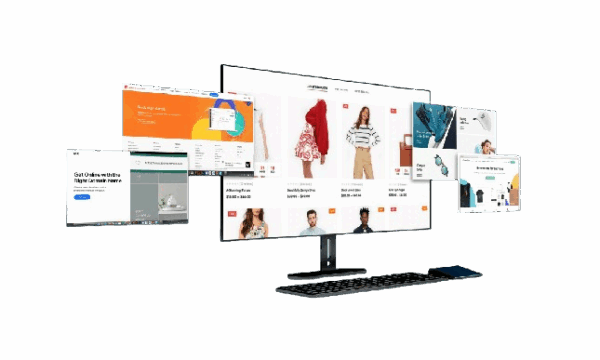 E-commerce Professional Plan